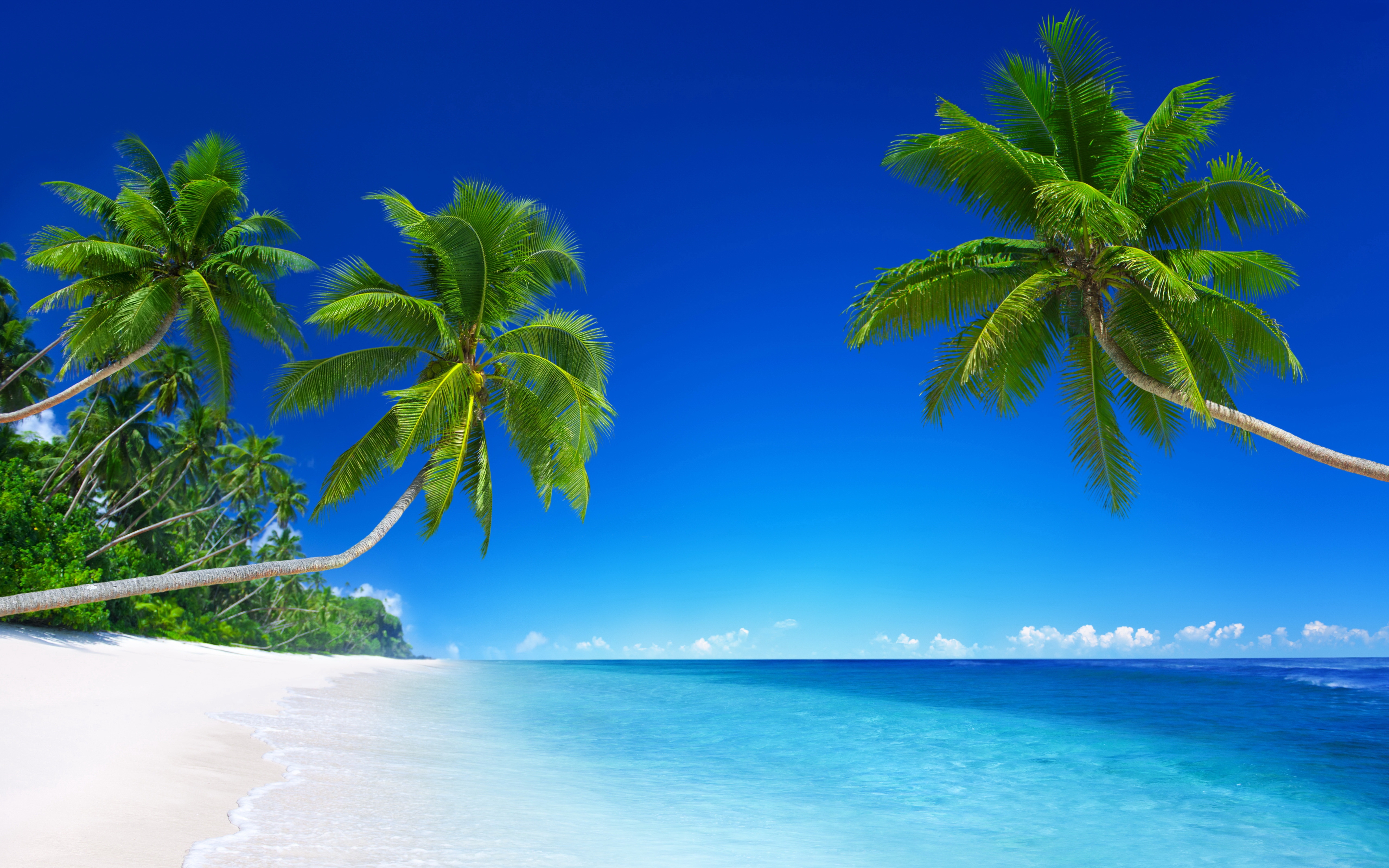 Tropical Beach Paradise 5K7771318910